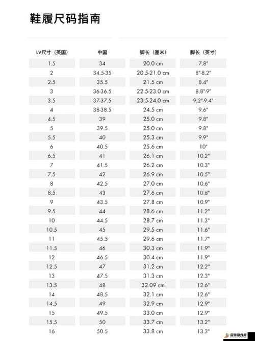 透彻理解欧洲码欧洲尺码M高清-深度剖析其背后的标准与特点